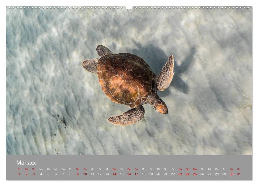 InsideView 10