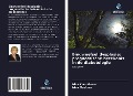 Cover-Bild zum Titel 'Bindweefsel dysplasie: prognostische betekenis in de diabetologie' von 'Irina Kournikova, Irina Maslova'