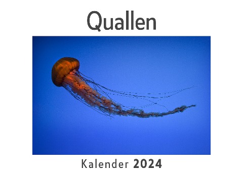 Quallen (Wandkalender 2024, Kalender DIN A4 quer, Monatskalender im Querformat mit Kalendarium, Das perfekte Geschenk) - Anna Müller