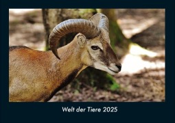 Cover-Bild zum Titel 'Welt der Tiere 2025 Fotokalender DIN A4' von 'Tobias Becker'