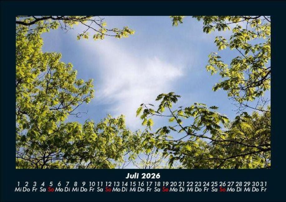 InsideView 11