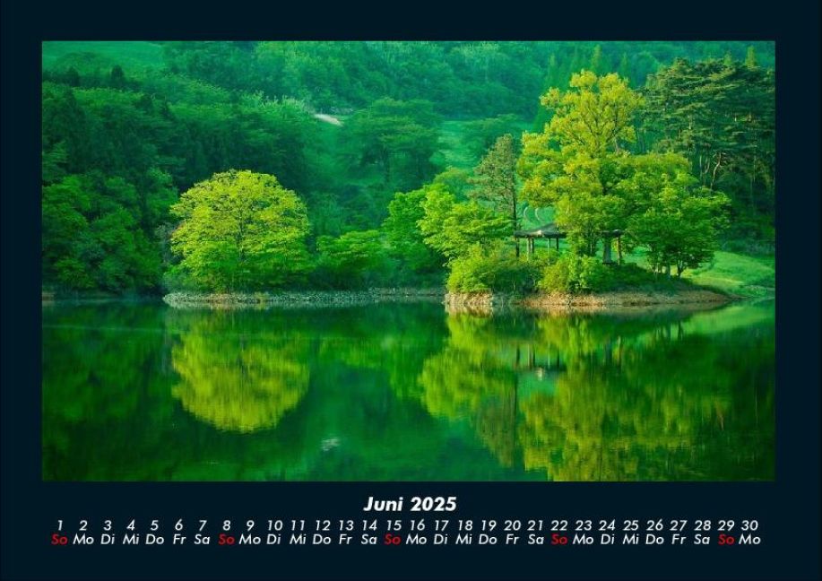 InsideView 10