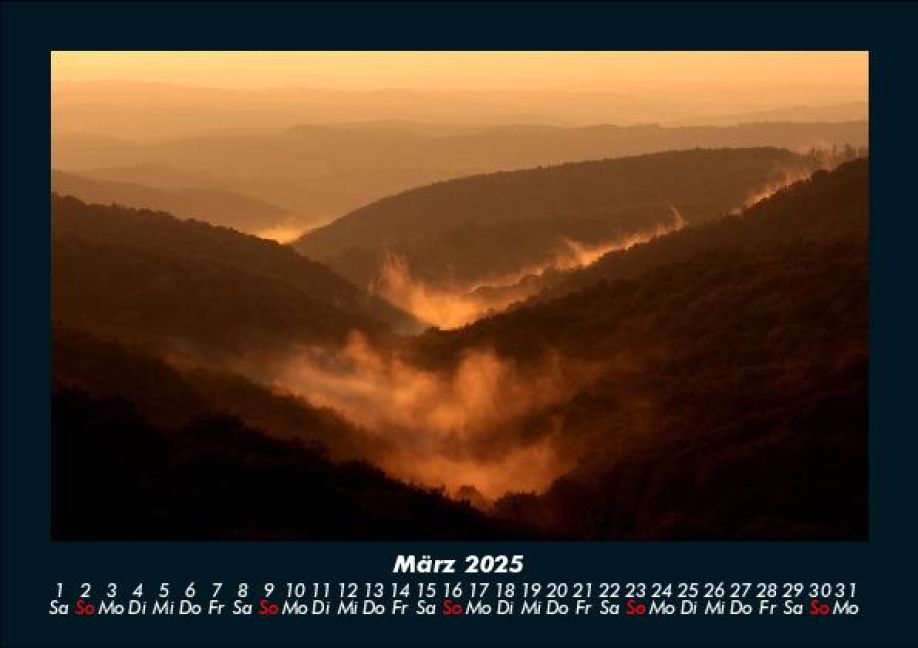 InsideView 7