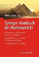 Springer-Handbuch der Mathematik III - 