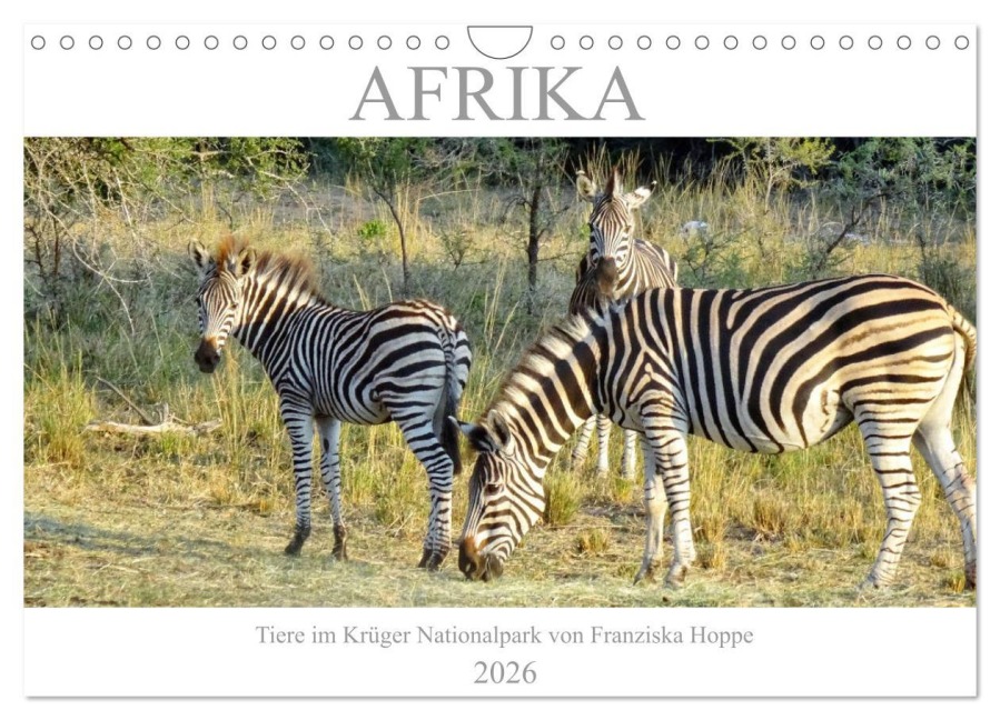 Afrika - Tiere im Krüger Nationalpark (Wandkalender 2026 DIN A4 quer), CALVENDO Monatskalender - Franziska Hoppe