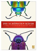 Die schönsten Käfer (Wandkalender 2025 DIN A2 hoch), CALVENDO Monatskalender - Wildlife Art Print