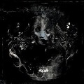 Cover-Bild zum Titel 'Anamorphosis' von 'Nibiru'