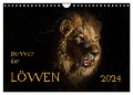 Die Welt der Löwen (Wandkalender 2024 DIN A4 quer), CALVENDO Monatskalender - Barbara Bethke