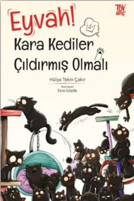 Eyvah Kara Kediler Cildirmis Olmali - Hülya Tekin cakir