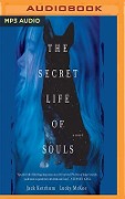The Secret Life of Souls - Jack Ketchum, Lucky McKee