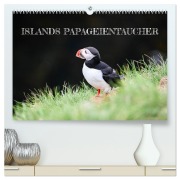 Cover-Bild zum Titel 'Islands Papageientaucher (hochwertiger Premium Wandkalender 2026 DIN A2 quer), Kunstdruck in Hochglanz' von 'Johannes Tomaschko'