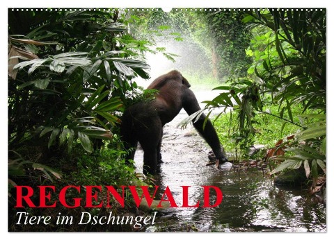 Regenwald ¿ Tiere im Dschungel (Wandkalender 2025 DIN A2 quer), CALVENDO Monatskalender - Elisabeth Stanzer