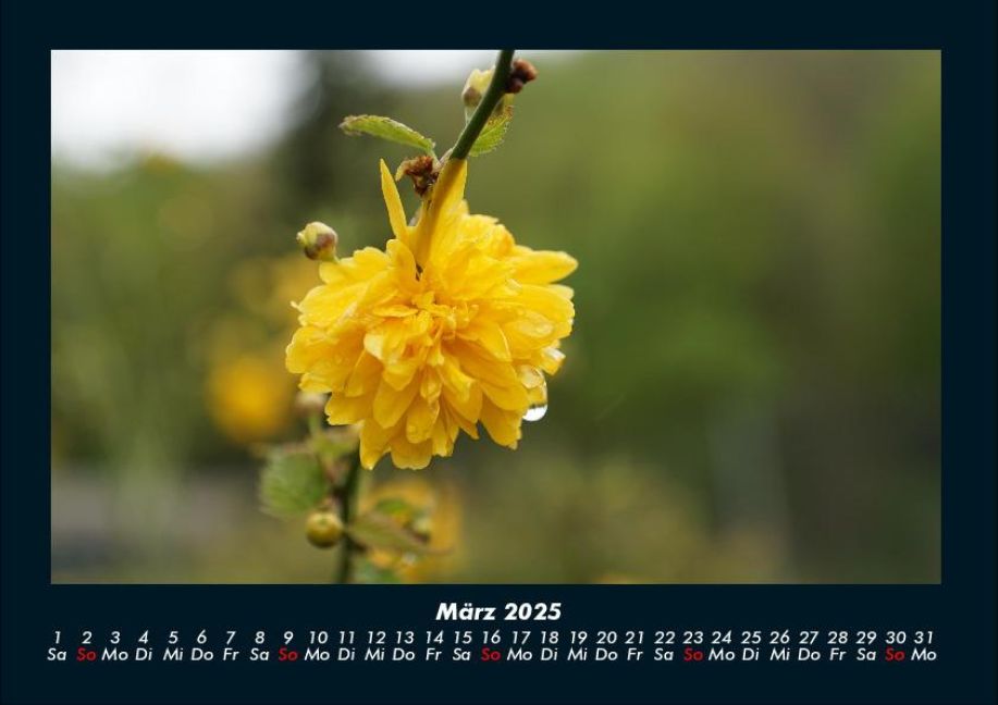 InsideView 7