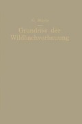 Cover-Bild zum Titel 'Grundriß der Wildbachverbauung' von 'Georg Strele'