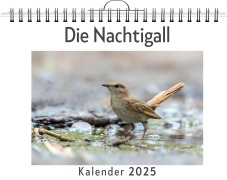 Cover-Bild zum Titel 'Die Nachtigall' von 'Anna Schmid'