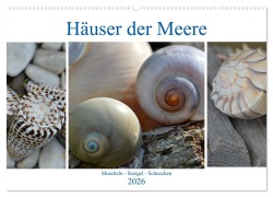 Cover-Bild zum Titel 'Häuser der Meere: Muscheln - Seeigel - Schnecken (Wandkalender 2026 DIN A2 quer), CALVENDO Monatskalender' von 'Renate Grobelny'