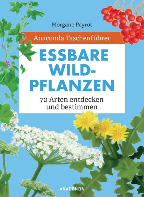 Anaconda Taschenführer Essbare Wildpflanzen. 70 Arten bestimmen und entdecken. - - Morgane Peyrot, Lise Herzog