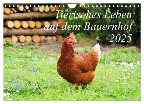 Tierisches Leben auf dem Bauernhof 2025 (Wandkalender 2025 DIN A4 quer), CALVENDO Monatskalender - Steffani Lehmann (Hrsg.