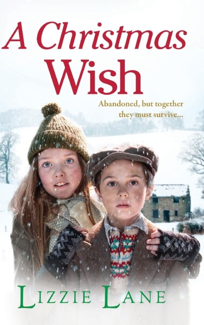 A Christmas Wish - Lizzie Lane