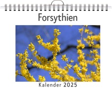 Cover-Bild zum Titel 'Forsythien' von 'Emilia Schwarz'