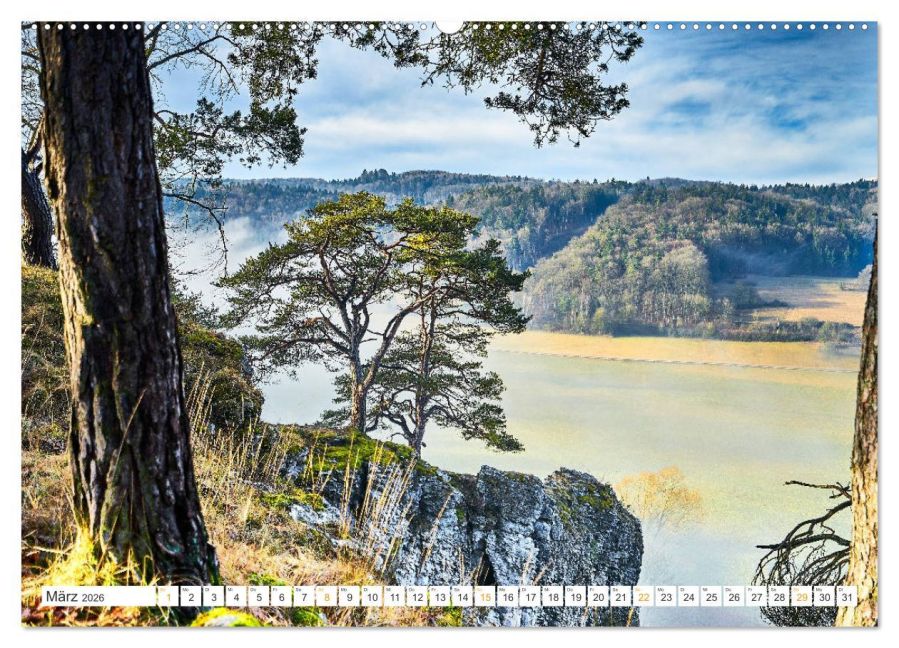 InsideView 7