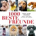 1000 beste Freunde - Elias Weiss Friedman