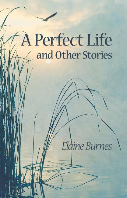 A Perfect Life and Other Stories - Elaine Burnes