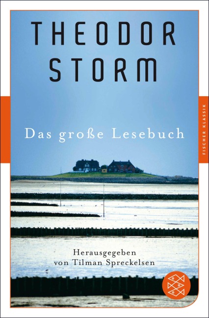 Das große Lesebuch - Theodor Storm