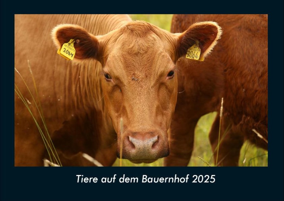 Tiere auf dem Bauernhof 2025 Fotokalender DIN A4 - Tobias Becker