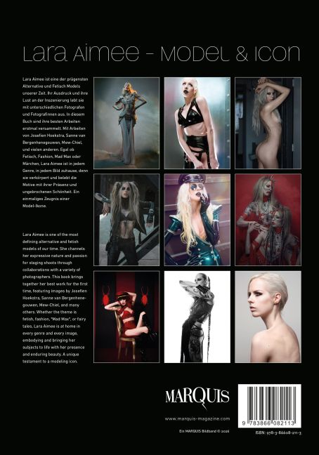 InsideView 6