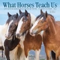 What Horses Teach Us 2024 7 X 7 Mini Wall Calendar - Willow Creek Press