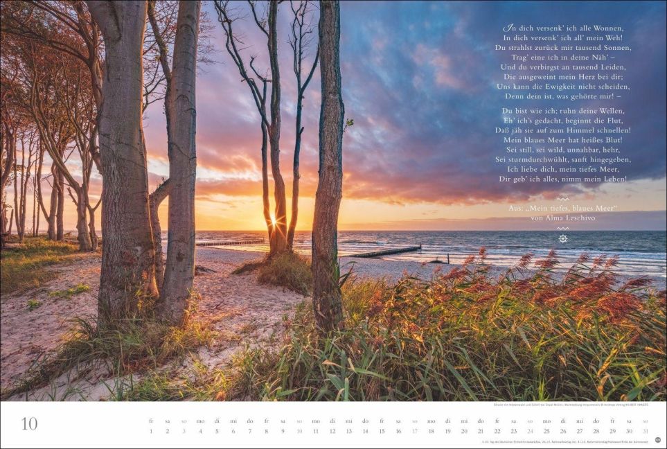 InsideView 10