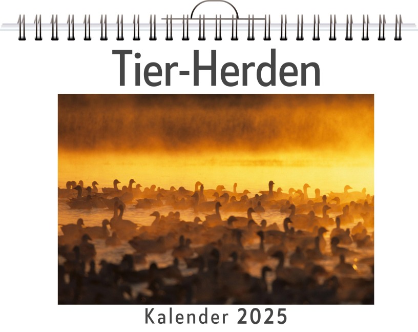 Tier-Herden - Eva Frank