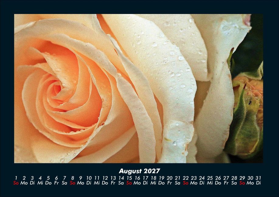 InsideView 12