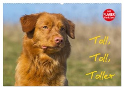 Toll, toll, Toller (Wandkalender 2025 DIN A2 quer), CALVENDO Monatskalender - Sigrid Starick
