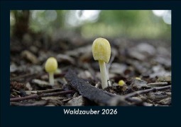 Cover-Bild zum Titel 'Waldzauber 2026 Fotokalender DIN A5' von 'Tobias Becker'