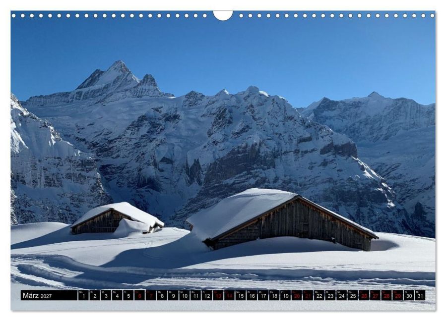 InsideView 8