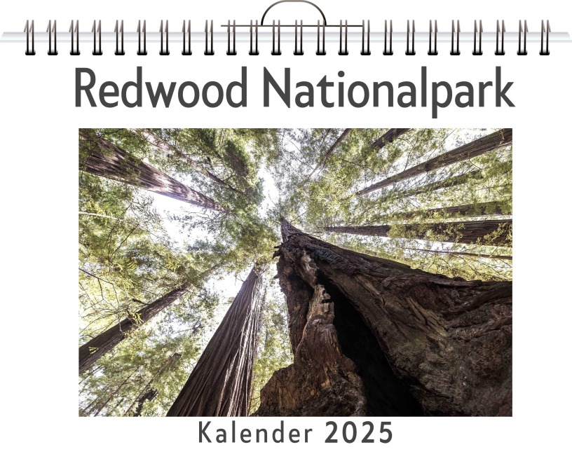 Redwood Nationalpark - Nora Schwarz