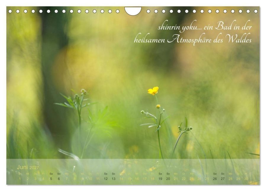 InsideView 11