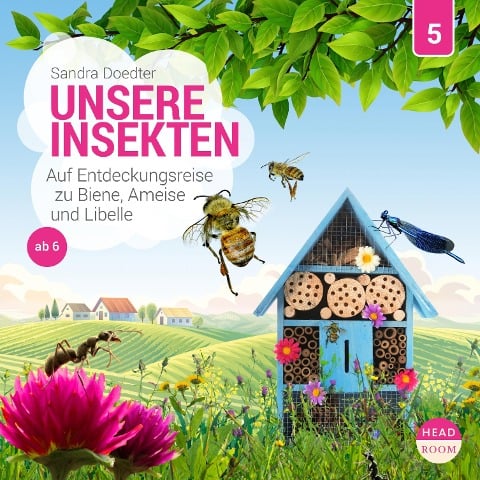 Unsere Insekten - Auf Entdeckungsreise zu Biene, Ameise und Libelle - Sandra Doedter