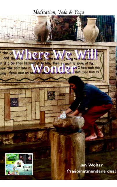 Where We Will Wonder - Jan Wolter