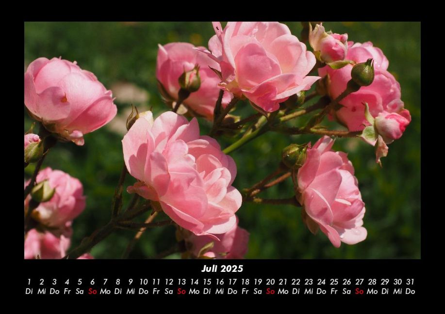 InsideView 11