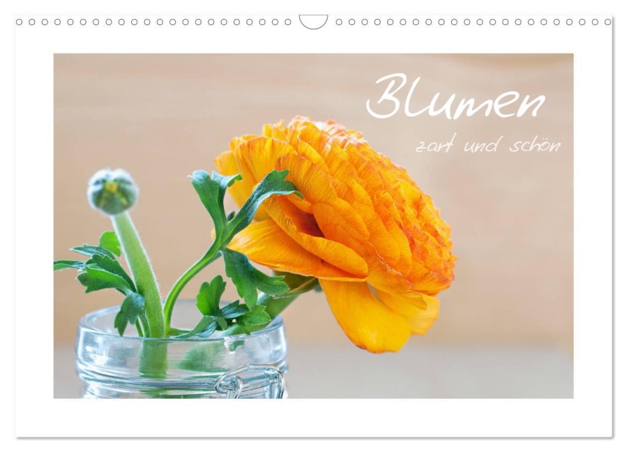 Blumen zart und schön (Wandkalender 2026 DIN A3 quer), CALVENDO Monatskalender - Petra Fischer