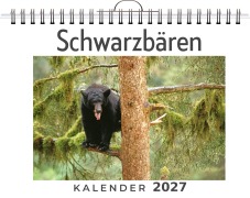 Cover-Bild zum Titel 'Schwarzbären' von 'Ava Wagner'