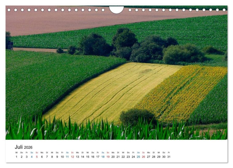 InsideView 12