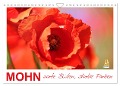 Mohn, zarte Blüten, starke Farben (Wandkalender 2024 DIN A4 quer), CALVENDO Monatskalender - Sabine Löwer