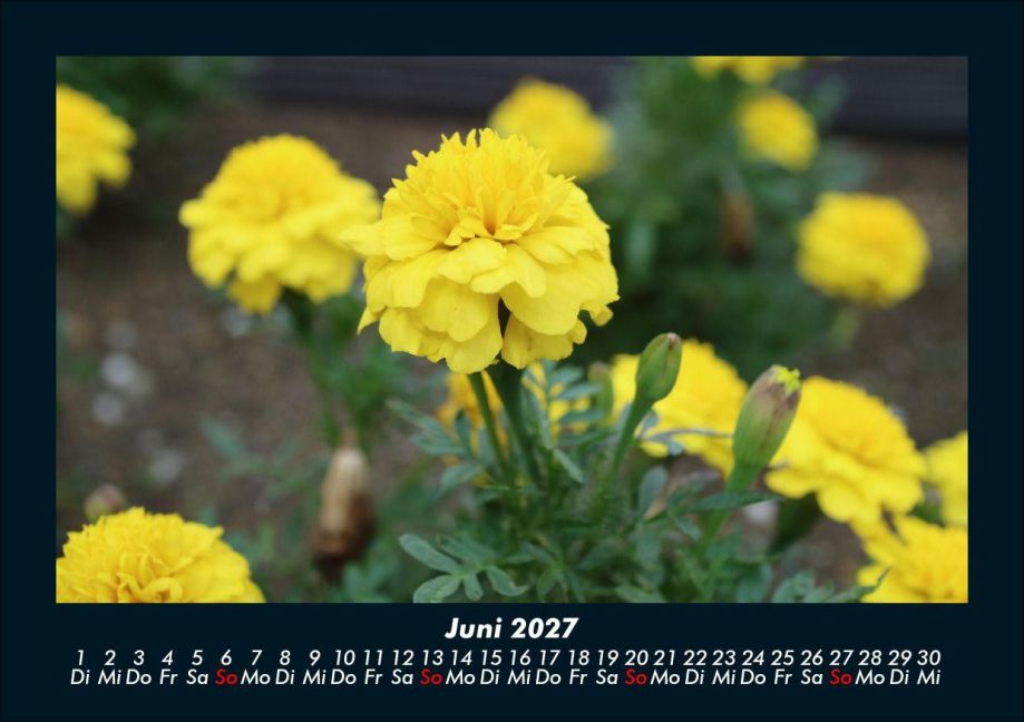 InsideView 10