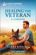 Cover-Bild zum Titel 'Healing the Veteran' von 'Ciara Knight'