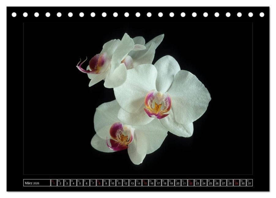 InsideView 8