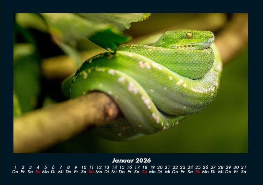 InsideView 5